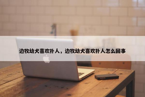 边牧幼犬喜欢扑人，边牧幼犬喜欢扑人怎么回事
