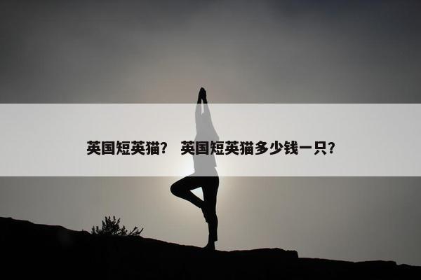 英国短英猫？ 英国短英猫多少钱一只？