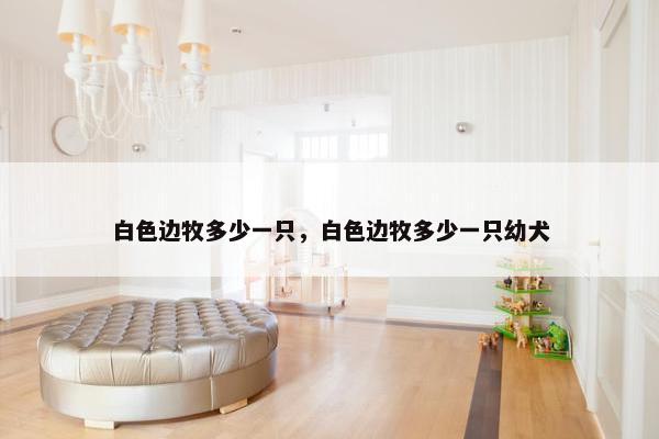 白色边牧多少一只，白色边牧多少一只幼犬