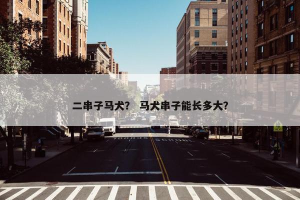 二串子马犬？ 马犬串子能长多大？