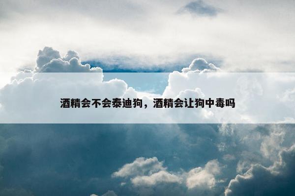 酒精会不会泰迪狗，酒精会让狗中毒吗