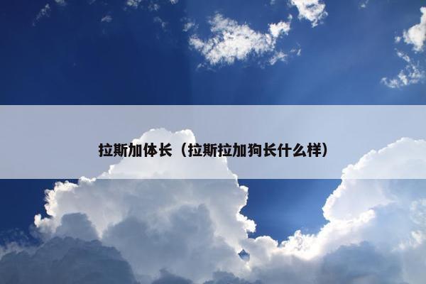 拉斯加体长（拉斯拉加狗长什么样）