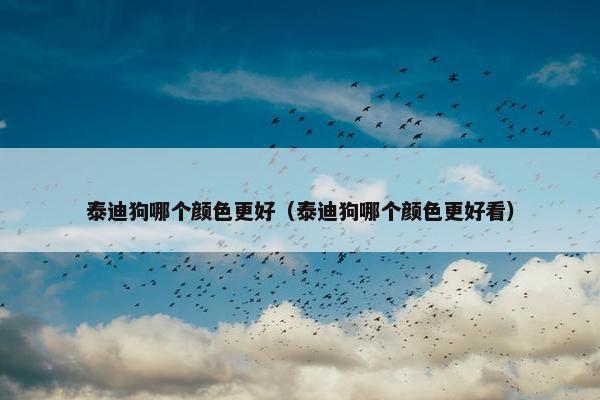 泰迪狗哪个颜色更好（泰迪狗哪个颜色更好看）
