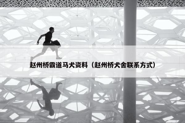 赵州桥霸道马犬资料（赵州桥犬舍联系方式）