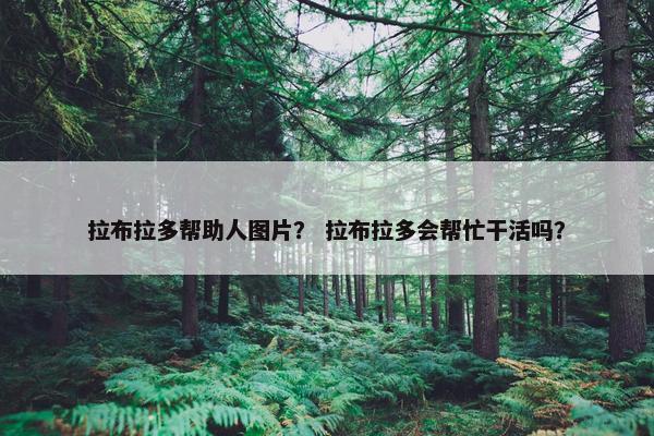 拉布拉多帮助人图片？ 拉布拉多会帮忙干活吗？