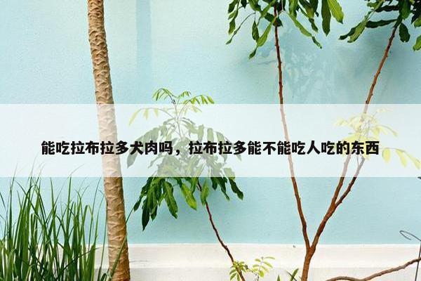 能吃拉布拉多犬肉吗，拉布拉多能不能吃人吃的东西
