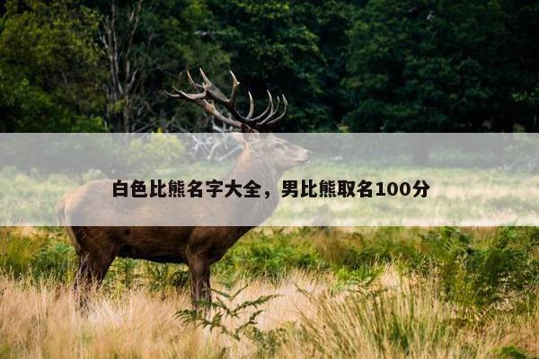 白色比熊名字大全，男比熊取名100分