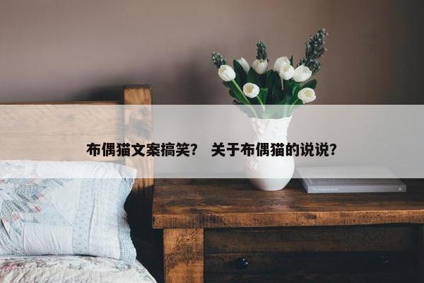 布偶猫文案搞笑？ 关于布偶猫的说说？