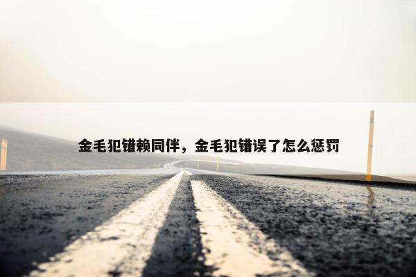 金毛犯错赖同伴，金毛犯错误了怎么惩罚