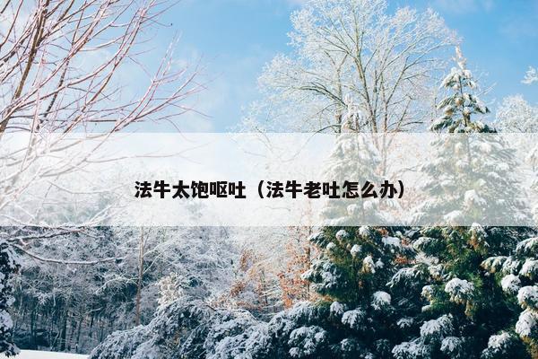 法牛太饱呕吐（法牛老吐怎么办）