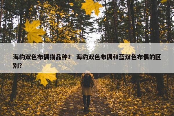 海豹双色布偶猫品种？ 海豹双色布偶和蓝双色布偶的区别？