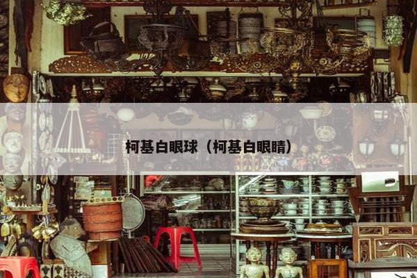 柯基白眼球（柯基白眼睛）