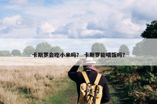 卡斯罗会吃小米吗？ 卡斯罗能喂饭吗？