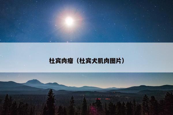 杜宾肉瘤（杜宾犬肌肉图片）