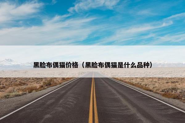 黑脸布偶猫价格（黑脸布偶猫是什么品种）