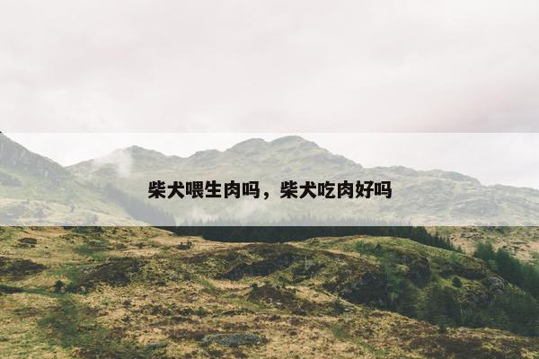 柴犬喂生肉吗，柴犬吃肉好吗