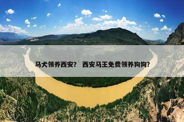 马犬领养西安？ 西安马王免费领养狗狗？