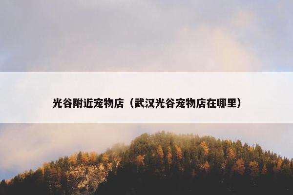 光谷附近宠物店（武汉光谷宠物店在哪里）