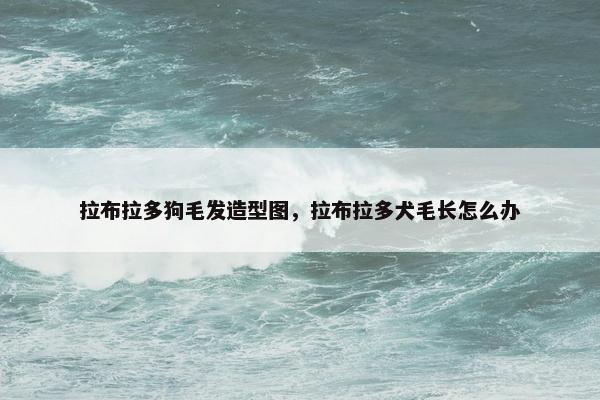 拉布拉多狗毛发造型图，拉布拉多犬毛长怎么办