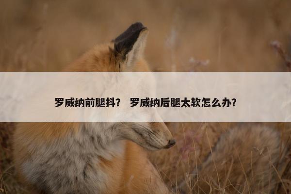 罗威纳前腿抖？ 罗威纳后腿太软怎么办？