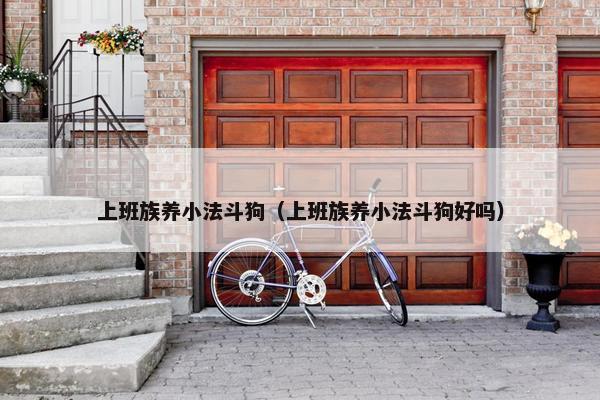 上班族养小法斗狗（上班族养小法斗狗好吗）
