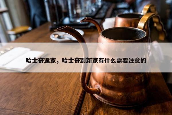 哈士奇返家，哈士奇到新家有什么需要注意的