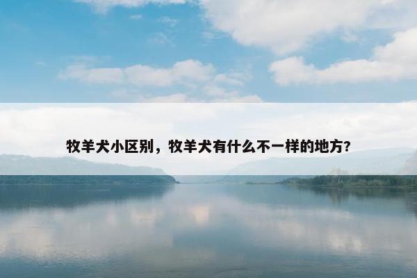 牧羊犬小区别，牧羊犬有什么不一样的地方?