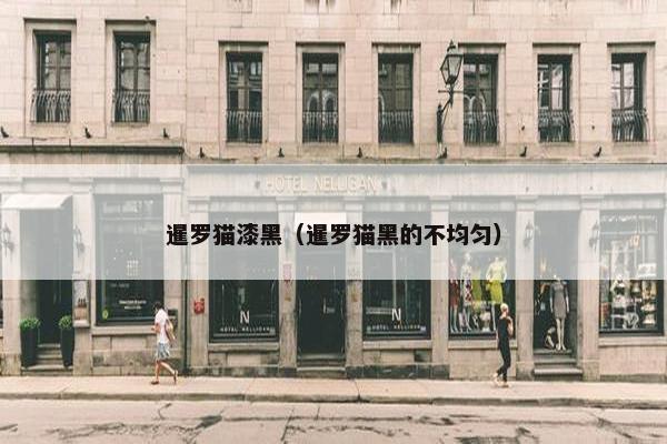 暹罗猫漆黑（暹罗猫黑的不均匀）