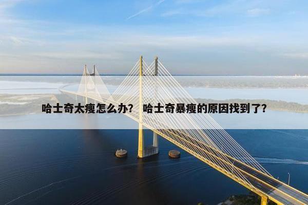 哈士奇太瘦怎么办？ 哈士奇暴瘦的原因找到了？
