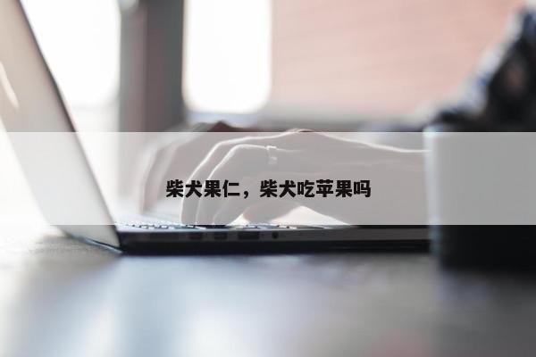柴犬果仁，柴犬吃苹果吗