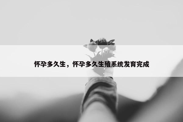 怀孕多久生，怀孕多久生殖系统发育完成