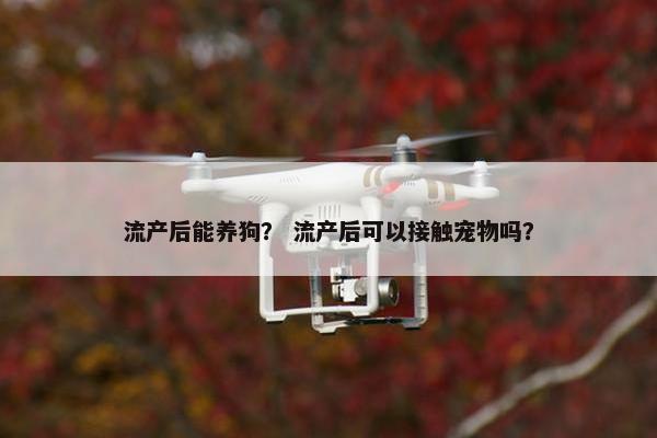 流产后能养狗？ 流产后可以接触宠物吗？