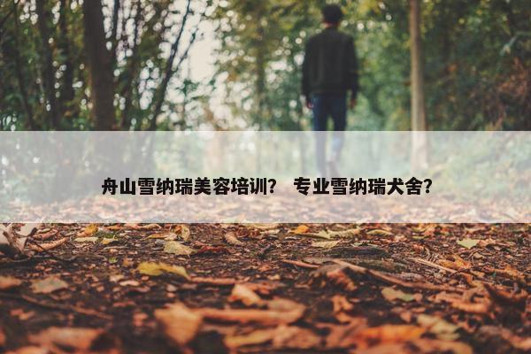 舟山雪纳瑞美容培训？ 专业雪纳瑞犬舍？