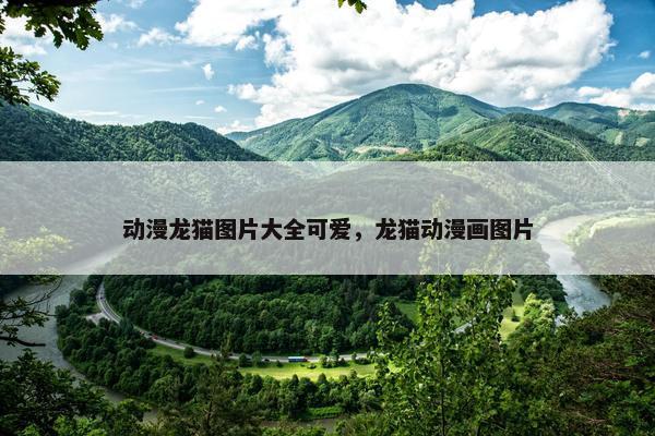 动漫龙猫图片大全可爱，龙猫动漫画图片