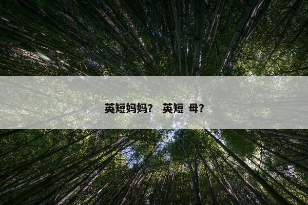 英短妈妈？ 英短 母？