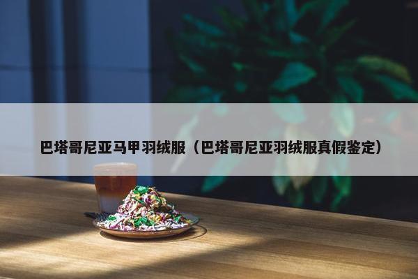 巴塔哥尼亚马甲羽绒服（巴塔哥尼亚羽绒服真假鉴定）