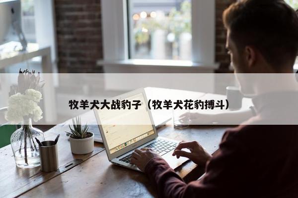 牧羊犬大战豹子（牧羊犬花豹搏斗）