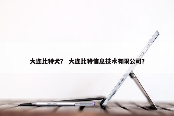 大连比特犬？ 大连比特信息技术有限公司？