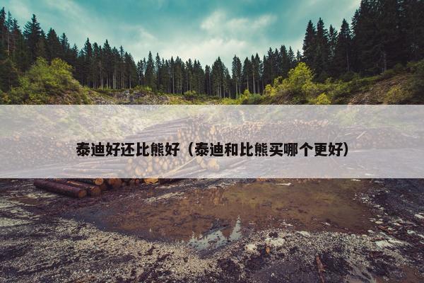 泰迪好还比熊好（泰迪和比熊买哪个更好）