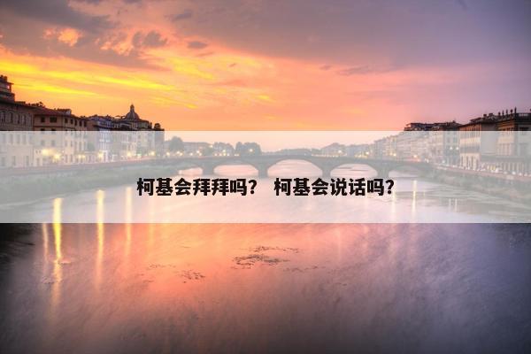 柯基会拜拜吗？ 柯基会说话吗？