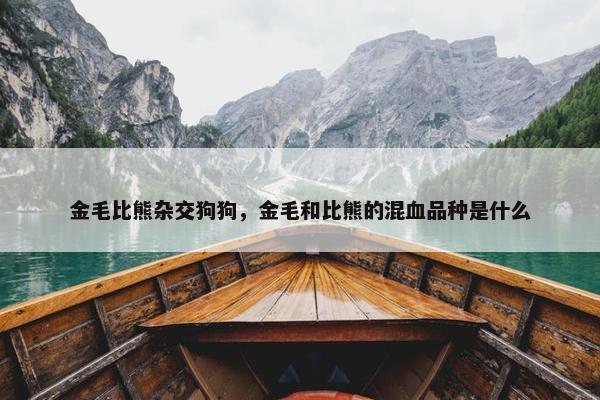 金毛比熊杂交狗狗，金毛和比熊的混血品种是什么