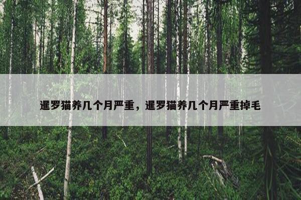 暹罗猫养几个月严重，暹罗猫养几个月严重掉毛