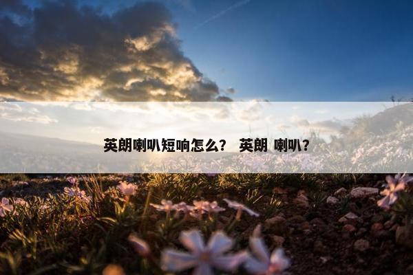 英朗喇叭短响怎么？ 英朗 喇叭？
