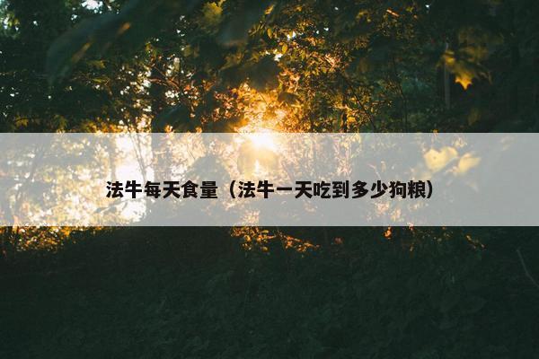 法牛每天食量（法牛一天吃到多少狗粮）