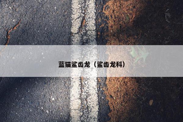 蓝猫鲨齿龙（鲨齿龙科）