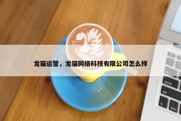 龙猫运营，龙猫网络科技有限公司怎么样