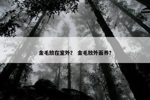 金毛放在室外？ 金毛放外面养？