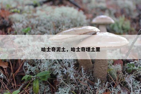 哈士奇泥土，哈士奇埋土里
