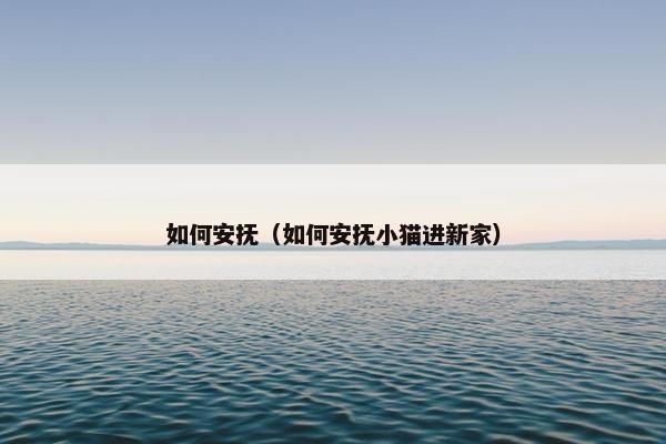 如何安抚（如何安抚小猫进新家）