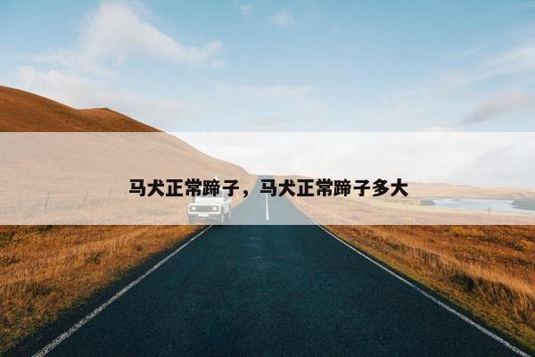 马犬正常蹄子，马犬正常蹄子多大